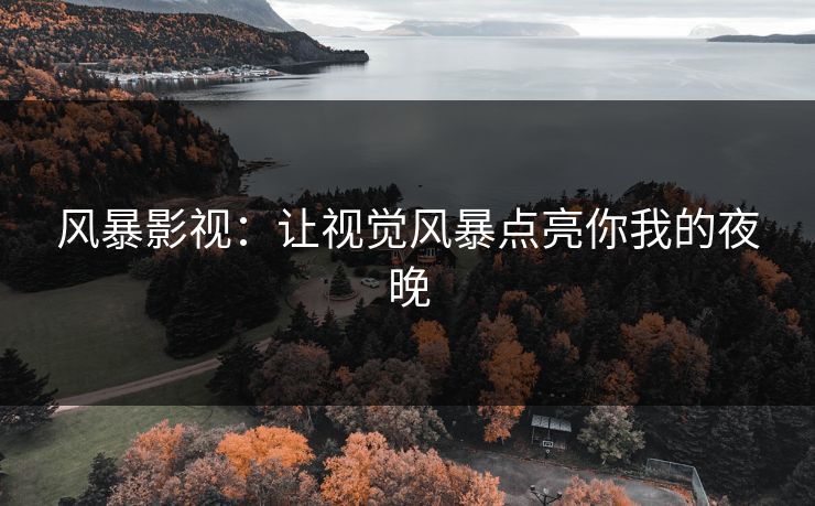风暴影视：让视觉风暴点亮你我的夜晚